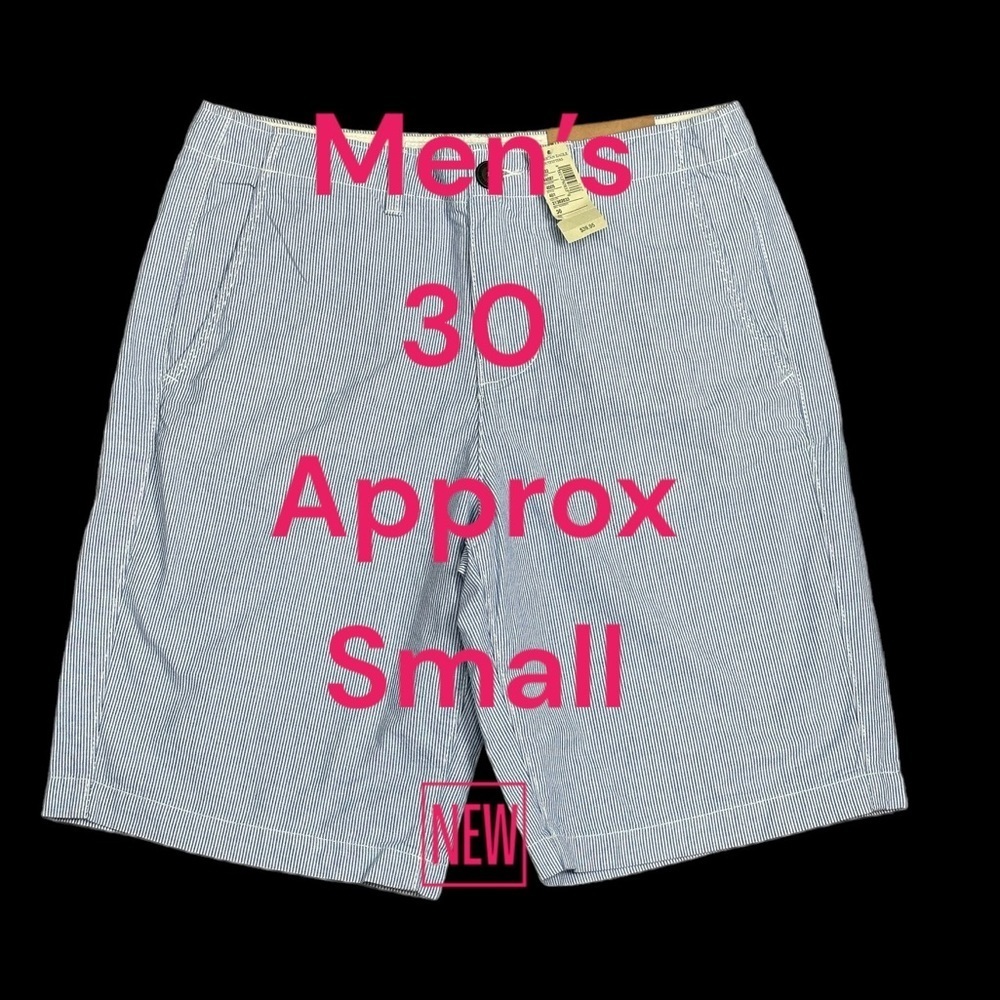 Men's American Eagle AEO 30 Small Shorts Pin Stripes Blue White Chino Khakis NWT